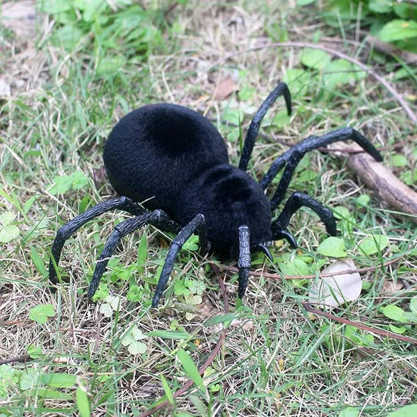 Remote Control Spider ©